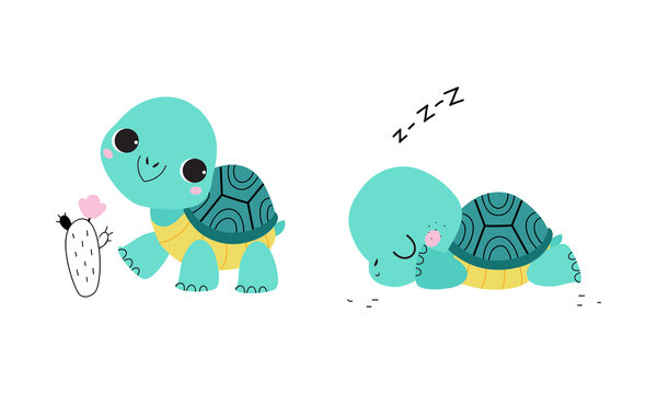 Cute turquoise turtle baby animals set. Tortoise reptilian animal character walking and sleeping cartoon vector illustration