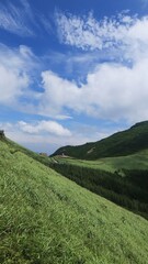 The beautiful scenery of Sinbulsan Mountain covered with silver grass