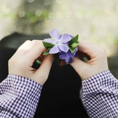 person holding a flower