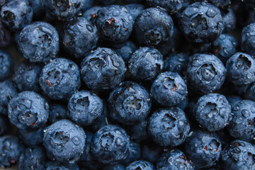 Fresh blueberry background. Blueberry texture close up. Fresh ripe blueberries as background