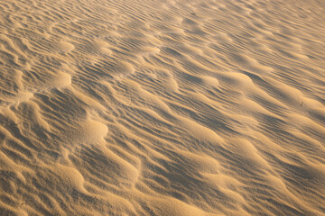 Oleshky sands Kherson region at sunset