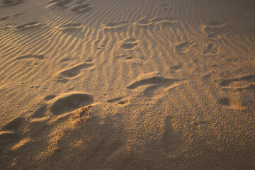 Oleshky sands Kherson region at sunset