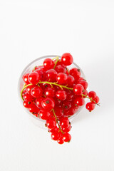 heart of red currants