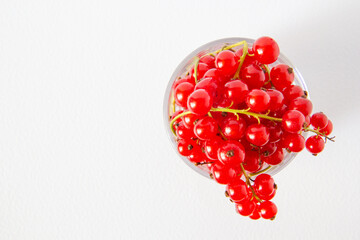 red currants in a glass