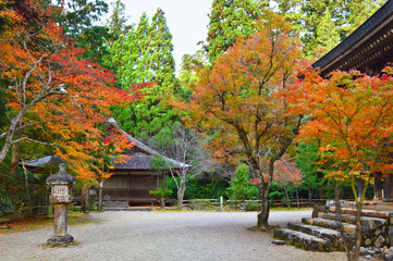 Obraz premium 早朝の京都市高尾神護寺の大師堂と紅葉