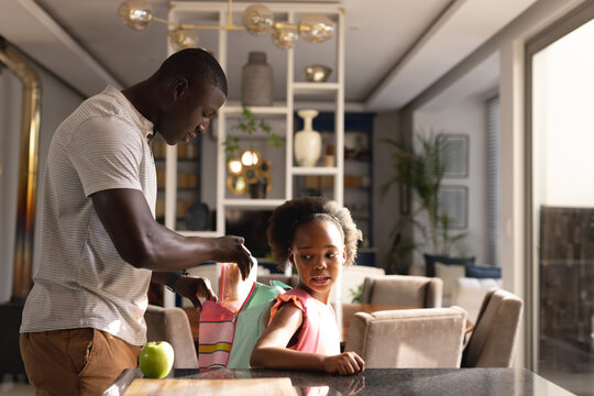 Image of african american father and daughter preparing breakfast for school