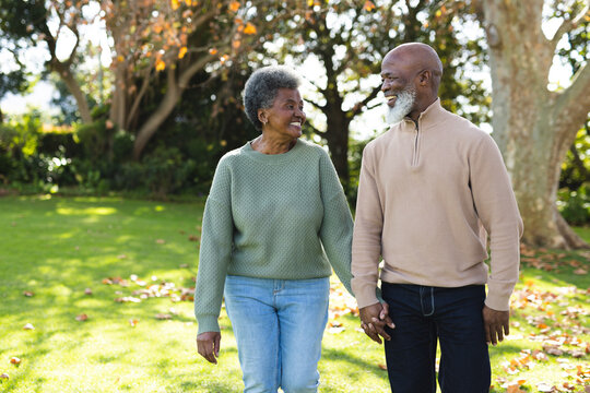 Image of happy african american senior couple in garden