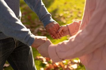 Image of midsection of senior caucasian couple holding hands in garden