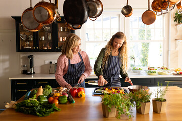 Image of happy caucasian mother and adult daughter preparing meal in kitchen
