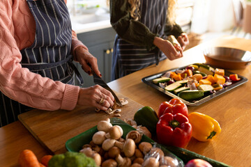 Image of midsection of caucasian mother and adult daughter preparing meal in kitchen