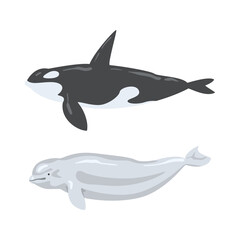 Oceanic and sea animals set. Beluga, orca, marine inhabitants cartoon vector illustration