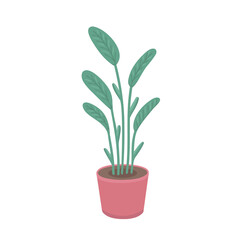 Home plant in pot, interior. Vector Illustration for printing, backgrounds, covers, packaging, greeting cards, posters, stickers, textile and seasonal design. Isolated on white background.