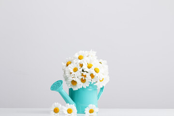 Bouquet of fresh daisies in a vase in the shape of a watering can.