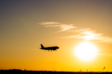 plane in the sunset