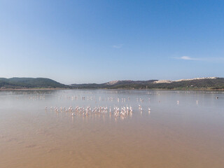 Fototapeta premium Aerial view of a calm lake and flamingos