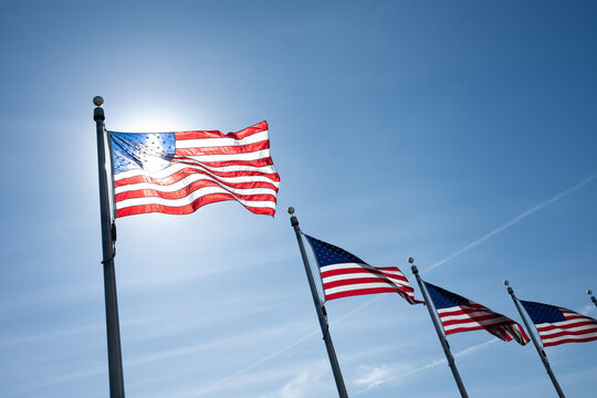 Row of United States of America Flags with Blue Sky and Sunshine