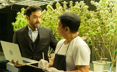 Farm owners and workers who maintain the cannabis plantation. Monitoring the progress of cannabis...