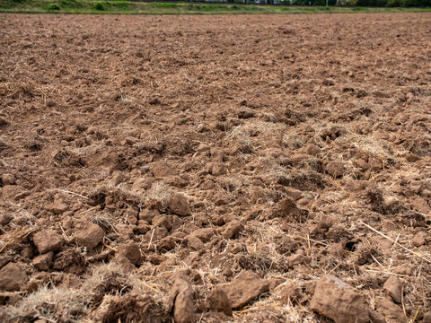 Plowed farmland. Agriculture scene of plowed and dry copland after harvest.