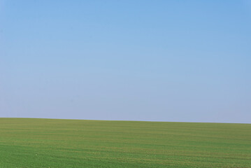 Obraz premium Green field with blue sky as background.