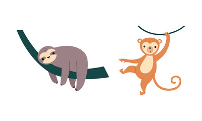 Fototapeta premium Cute wild safari African animals set. Sloth and monkey jungle animal cartoon vector illustration