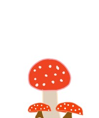fly agaric mushroom
