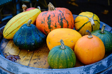 Pumpkins family. Selection of various pumpkins.