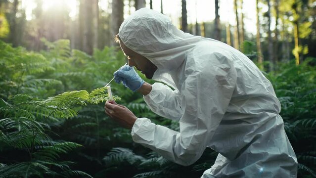 Biologist with white protective suit takes samples on new plants in the forest