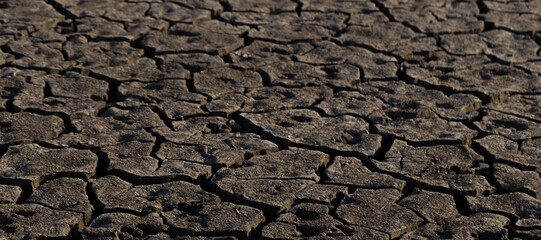 Earth cracked because of drought. The global shortage of water on the planet. Global warming concept. Dry cracks in the land.