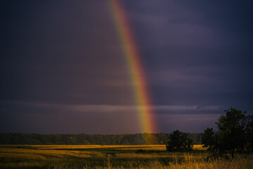 rainbow on the meadow