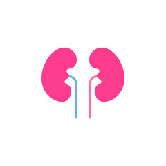 kidney vector for website symbol icon presentation