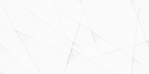 Abstract background with lines with gray and  white background with texture, white abstract modern background. Geometry shine and layer element vector for presentation design. Decorative 