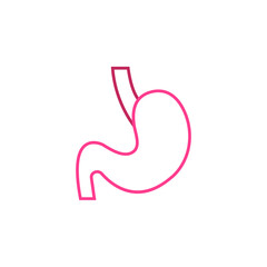 stomach vector for website symbol icon presentation