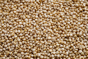 white quinoa seeds on a white acrylic background
