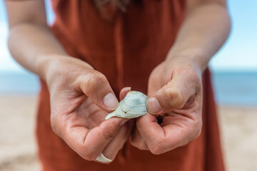 Closeup of shell in woman's hands