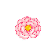 ピンク色の花（椿）