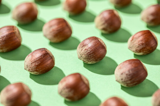 Pattern of raw shelled hazelnuts