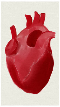 Vecctor from real watercolor painting of human heart for high resolution printing with canvas background