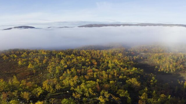 Flying above clouds on a hill with autumn colored forest.