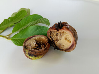 Rotten fruit guava, cut in half, on a white background.