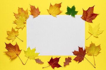 Naklejka na ściany i meble Blank paper for text with autumn leaves on yellow background.