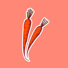 carrot illustration sketch. hand draw technique