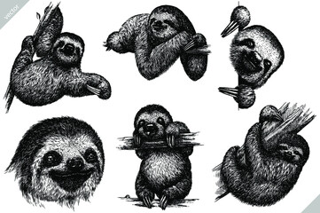 Vintage engrave isolated sloth set illustration ink sketch. Sloth bear background sleep vector art © Turaev
