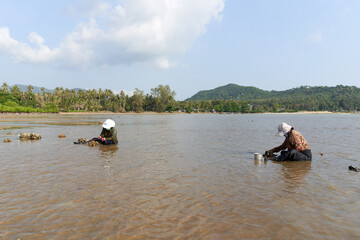 Ko Phangan, Thailand, March 15, 2022: two old woman collecting clams on the sea