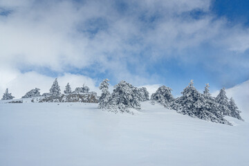 Fototapeta na wymiar Snow covered forest on top of mountain Ai-Petri after blizzard. Crimea