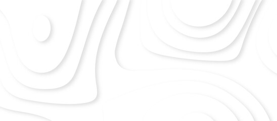 Abstracts Luxury paper cut background, Abstract decoration, white pattern gradients, 3d Vector illustration, topographic canyon map light relief texture, curved layers and shadow.