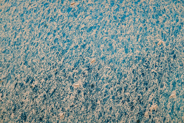 Detail of white cars very dirty from rains of mud, unwashed and neglected, covered in dust.