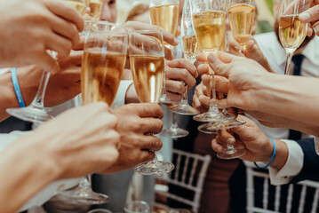 Group of friends celebrate by raising their glass in a toast.