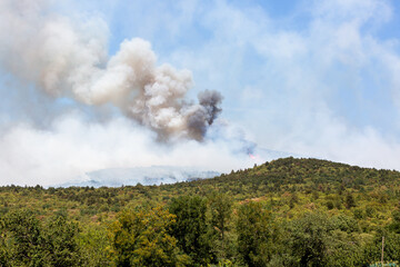 Wildfire with strong wind and drought