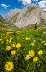 Fototapeta premium Appennini mountains, Italy - The mountain summit of central Italy, Abruzzo region, over 2000 meters, with hiker path for trekking