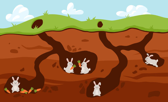 Rabbit family living underground in holes, cartoon flat vector illustration.